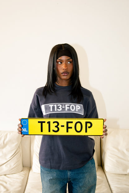 The T13-F0P Plate
