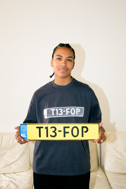The T13-F0P Plate